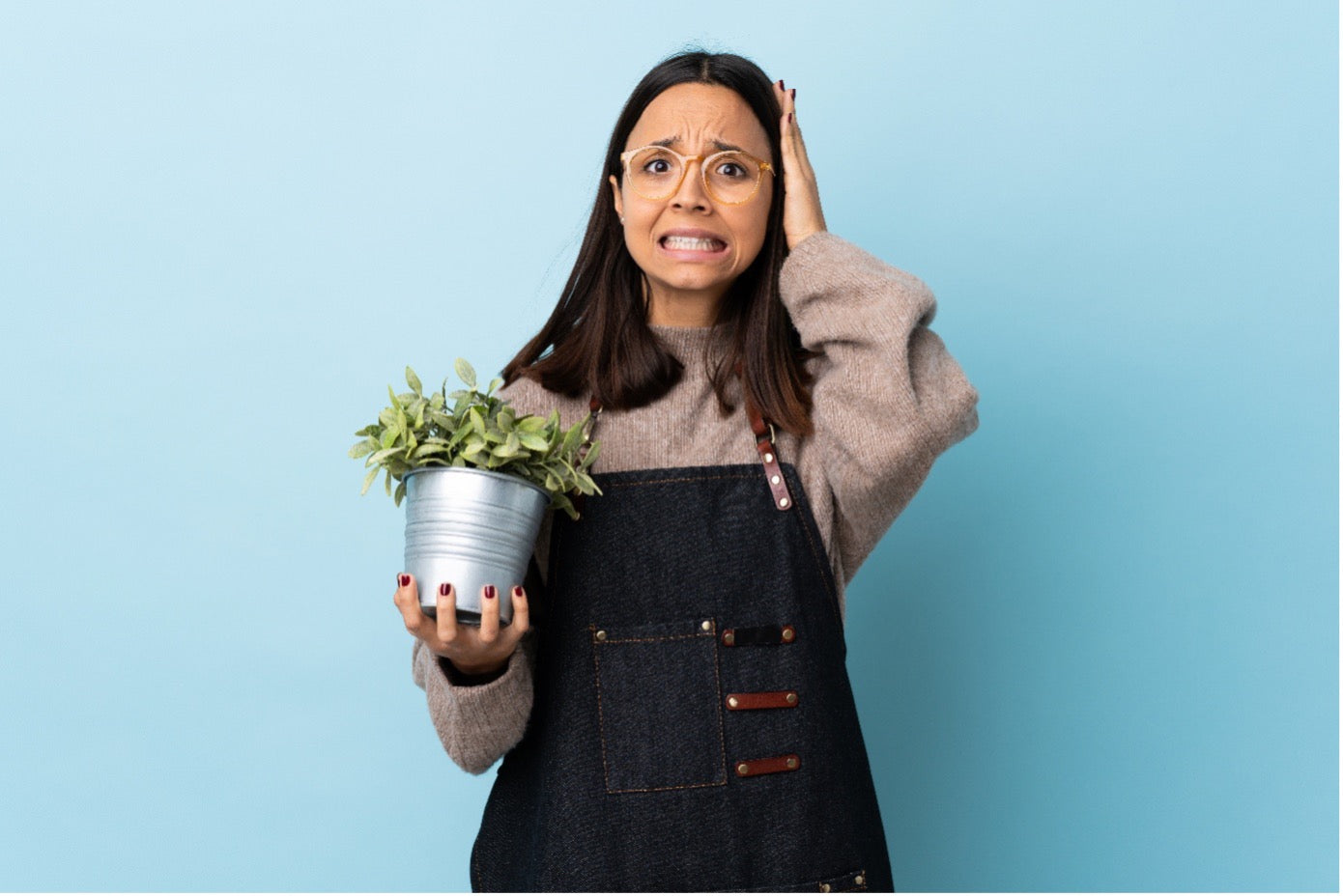 7 dôvodov, prečo ti hynú bylinky (a ako to napraviť raz navždy)